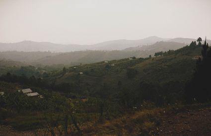 Uganda JenOlson 084fb235