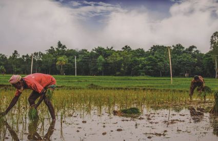 Bangladesh FardouseLomatJahanRumpa Unsplash 0e1bb5ad
