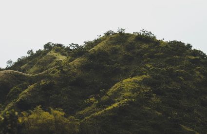 Jamaica MarcBabin Unsplash 4065f9bd
