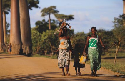 Madagascar 2PhotoPots Unsplash 4661d88a