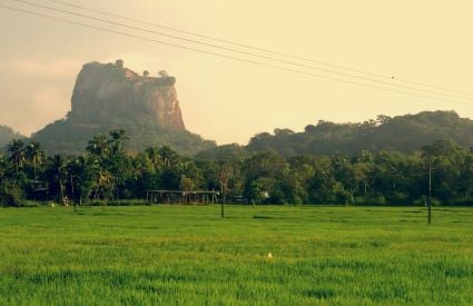 Countries 90 Sri Lanka by Tom Nicholson unsplash 54c670f0